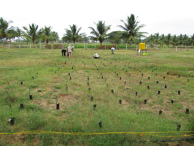 Chunchanakatte field site